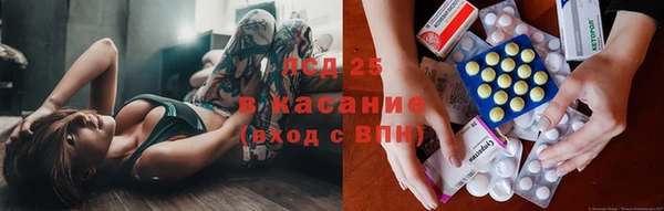 амф Алзамай